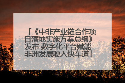 《中非产业链合作项目落地实施方案总纲》发布 数字化平台赋能非洲发展驶入快车道