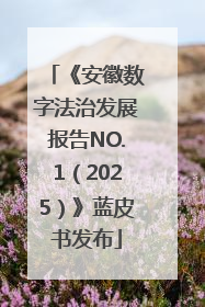 《安徽数字法治发展报告NO.1（2025）》蓝皮书发布