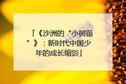 《沙洲的“小树苗”》：新时代中国少年的成长缩影