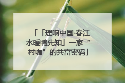 「理响中国·春江水暖鸭先知」一家“村咖”的共富密码