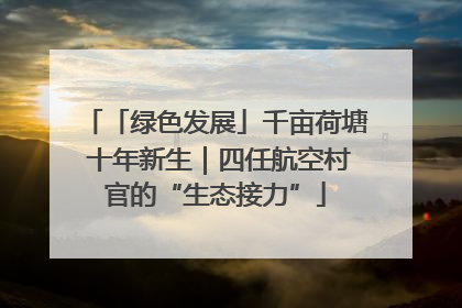 「绿色发展」千亩荷塘 十年新生｜四任航空村官的“生态接力”