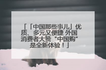 「中国那些事儿」优质、多元又便捷 外国消费者大赞“中国购”是全新体验！