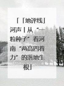 「地评线」河声丨从“一粒种子”看河南“两高四着力”的落地生根