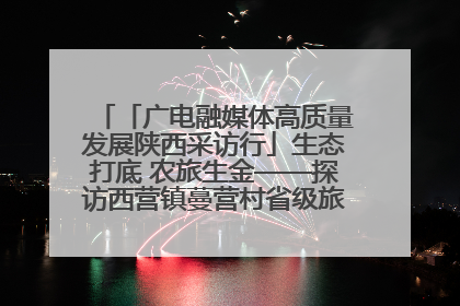 「广电融媒体高质量发展陕西采访行」生态打底 农旅生金——探访西营镇蔓营村省级旅游示范村的振兴密码