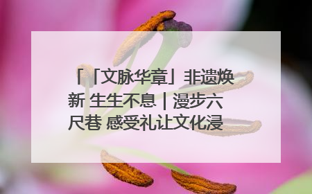 「文脉华章」非遗焕新 生生不息｜漫步六尺巷 感受礼让文化浸润的“巷”往生活