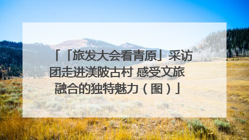 「旅发大会看青原」采访团走进渼陂古村 感受文旅融合的独特魅力（图）