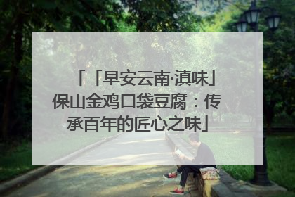 「早安云南·滇味」保山金鸡口袋豆腐：传承百年的匠心之味