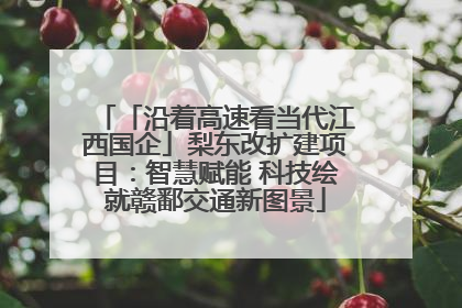 「沿着高速看当代江西国企」梨东改扩建项目：智慧赋能 科技绘就赣鄱交通新图景