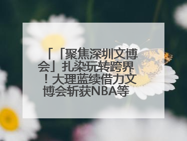 「聚焦深圳文博会」扎染玩转跨界！大理蓝续借力文博会斩获NBA等联名大单