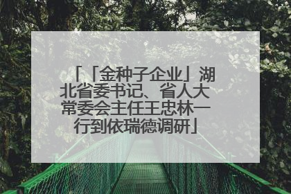 「金种子企业」湖北省委书记、省人大常委会主任王忠林一行到依瑞德调研