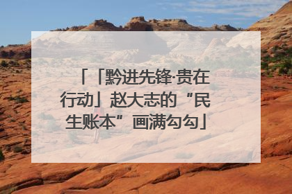 「黔进先锋·贵在行动」赵大志的“民生账本”画满勾勾