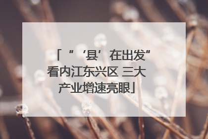 “‘县’在出发”看内江东兴区 三大产业增速亮眼