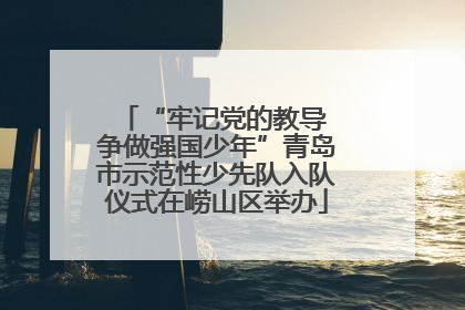 “牢记党的教导 争做强国少年”青岛市示范性少先队入队仪式在崂山区举办