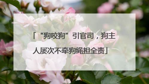 “狗咬狗”引官司，狗主人屡次不牵狗绳担全责