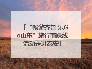 “畅游齐鲁 乐Go山东”旅行商踩线活动走进泰安