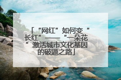 “网红”如何变“长红”——“一朵花”激活城市文化基因的破题之路
