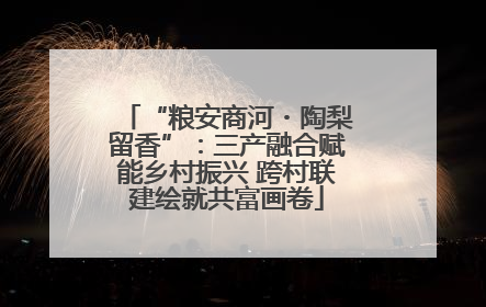 “粮安商河・陶梨留香”：三产融合赋能乡村振兴 跨村联建绘就共富画卷