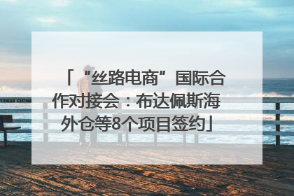 “丝路电商”国际合作对接会：布达佩斯海外仓等8个项目签约