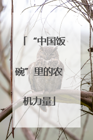 “中国饭碗”里的农机力量