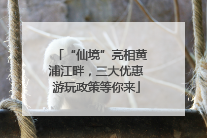 “仙境”亮相黄浦江畔，三大优惠游玩政策等你来