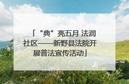 “典”亮五月 法润社区——新野县法院开展普法宣传活动