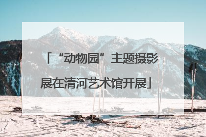 “动物园”主题摄影展在清河艺术馆开展