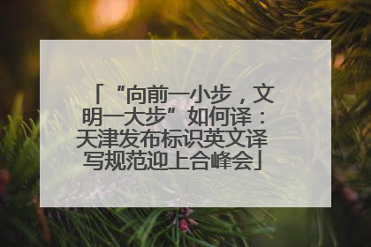 “向前一小步，文明一大步”如何译：天津发布标识英文译写规范迎上合峰会