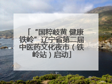 “国粹岐黄 健康铁岭”辽宁省第二届中医药文化夜市（铁岭站）启动
