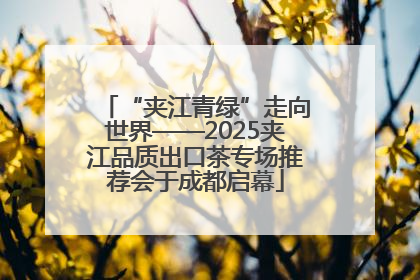“夹江青绿”走向世界——2025夹江品质出口茶专场推荐会于成都启幕