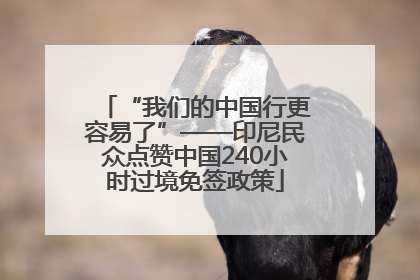 “我们的中国行更容易了”——印尼民众点赞中国240小时过境免签政策