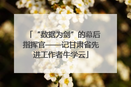 “数据为剑”的幕后指挥官——记甘肃省先进工作者牛学云