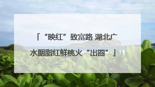 “映红”致富路 湖北广水胭脂红鲜桃火“出圈”