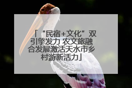 “民宿+文化”双引擎发力 农文旅融合发展激活天水市乡村游新活力