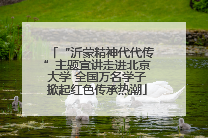 “沂蒙精神代代传”主题宣讲走进北京大学 全国万名学子掀起红色传承热潮