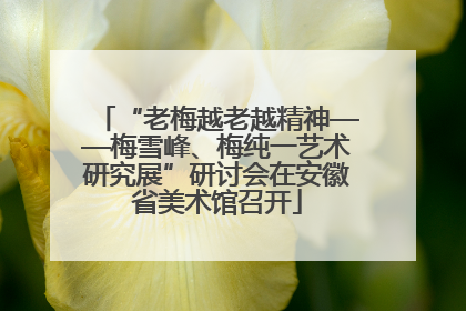 “老梅越老越精神——梅雪峰、梅纯一艺术研究展”研讨会在安徽省美术馆召开
