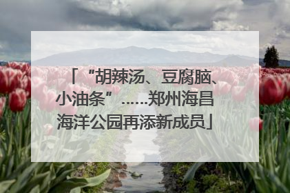 “胡辣汤、豆腐脑、小油条”……郑州海昌海洋公园再添新成员