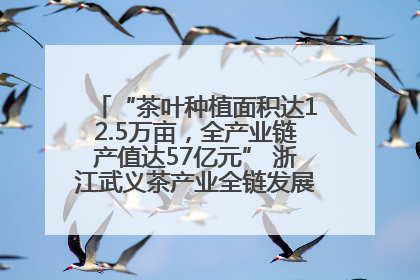 “茶叶种植面积达12.5万亩，全产业链产值达57亿元” 浙江武义茶产业全链发展“加速度”