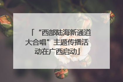 “西部陆海新通道大合唱”主题传播活动在广西启动
