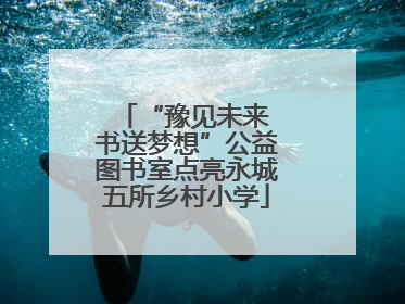 “豫见未来 书送梦想”公益图书室点亮永城五所乡村小学