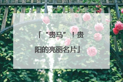 “贵马”！贵阳的亮丽名片