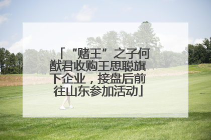 “赌王”之子何猷君收购王思聪旗下企业，接盘后前往山东参加活动