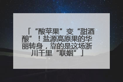 “酸苹果”变“甜酒酿”！盐源高原果的华丽转身，靠的是这场浙川千里“联姻”