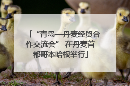 “青岛—丹麦经贸合作交流会” 在丹麦首都哥本哈根举行
