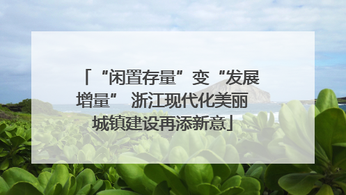 “闲置存量”变“发展增量” 浙江现代化美丽城镇建设再添新意