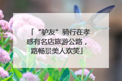 “驴友”骑行在孝感有名店旅游公路，路畅景美人欢笑