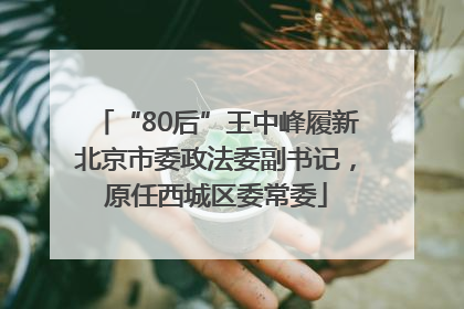 “80后”王中峰履新北京市委政法委副书记，原任西城区委常委