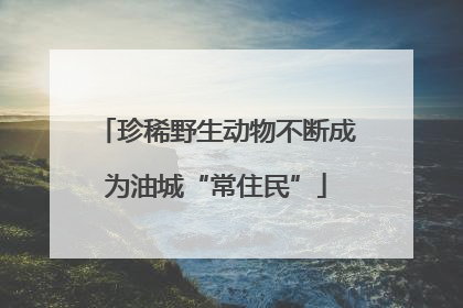 珍稀野生动物不断成为油城“常住民”