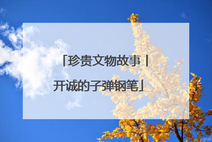 珍贵文物故事丨开诚的子弹钢笔