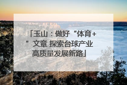 玉山：做好“体育+”文章 探索台球产业高质量发展新路