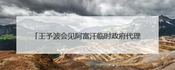 王予波会见阿富汗临时政府代理副总理阿卜杜·萨拉姆·哈纳菲